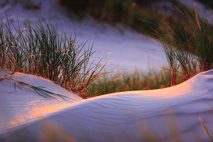 slowinski-national-park-862262__480